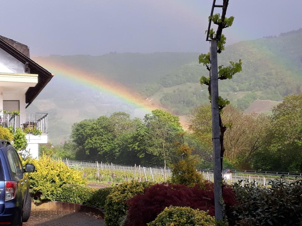 Hotel Ferienweingut-Liebfried Nehren  Zewnętrze zdjęcie