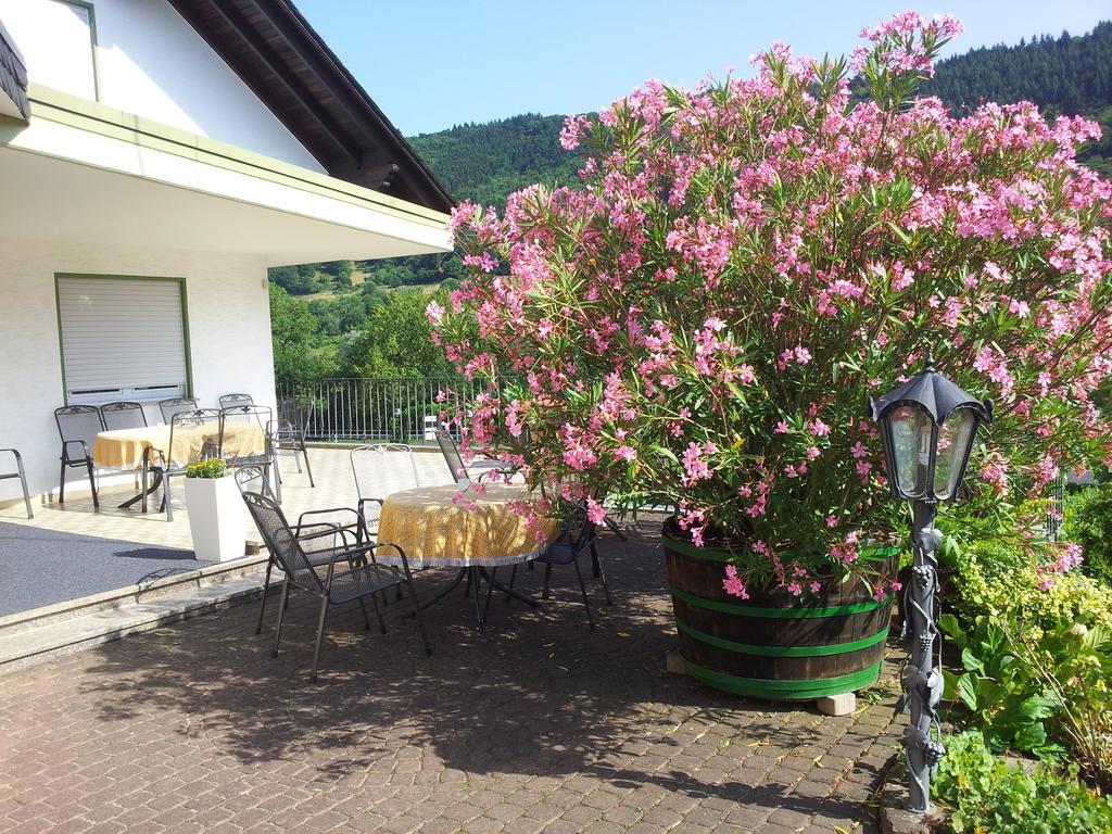 Hotel Ferienweingut-Liebfried Nehren  Zewnętrze zdjęcie